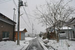 DSC_0001-1.jpg