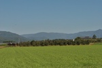 DSC_4440-1.jpg