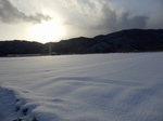 P1110003-1.jpg