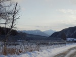 P1110005-1.jpg