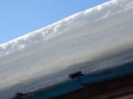 P1120006-1.jpg