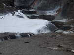 P1130007-1.jpg