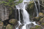 DSC_0012-1.jpg